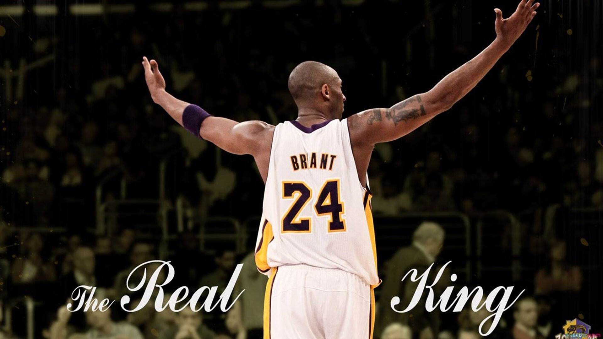 球场革命:未来足球场的智能化设计,足球场地设施